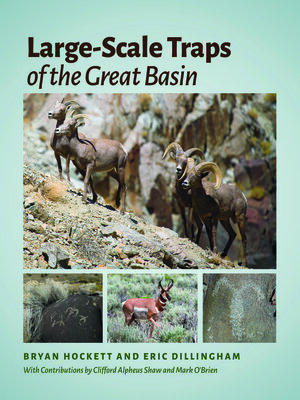 cover image of Large-Scale Traps of the Great Basin